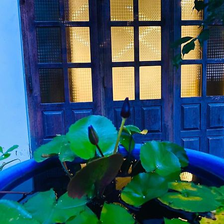Sachi'S Place تانجالي المظهر الخارجي الصورة