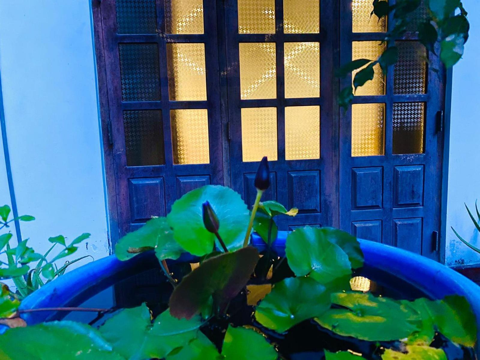 Sachi'S Place تانجالي المظهر الخارجي الصورة
